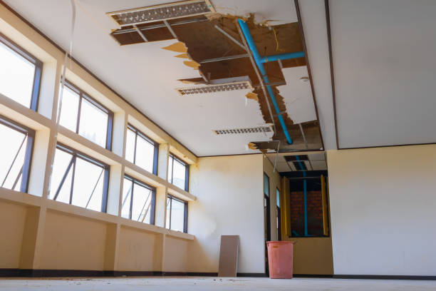 Best Mold removal after water damage  in Centrevle, IL