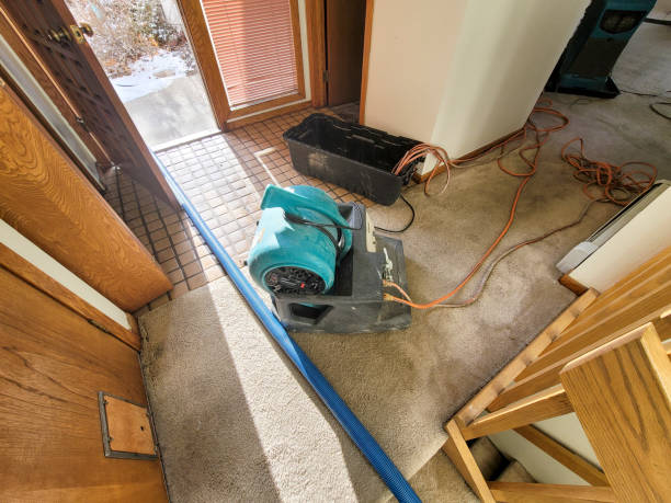 Best Residential water damage restoration  in Centrevle, IL