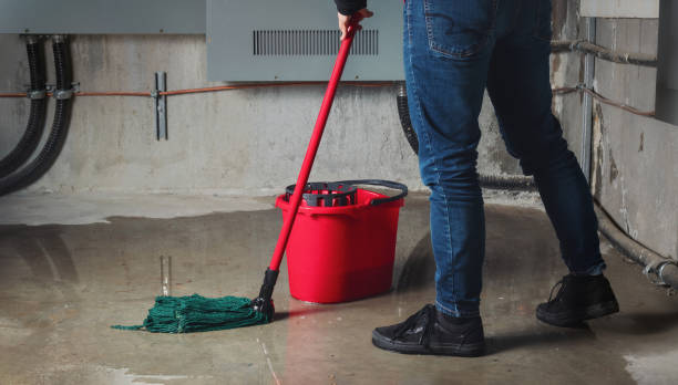Best 24-hour water damage restoration  in Centrevle, IL