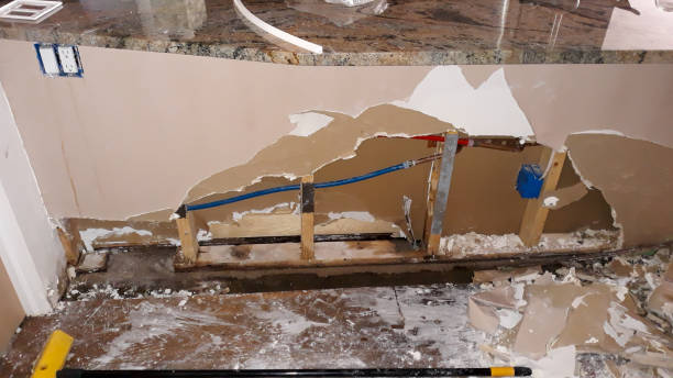 Best Water damage contractors near me  in Centrevle, IL