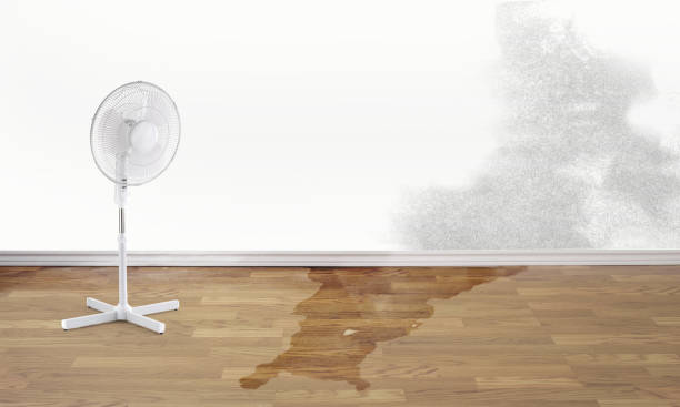 Best Flood damage cleanup  in Centrevle, IL