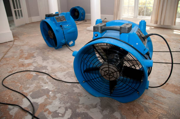 Best Local water damage restoration  in Centrevle, IL