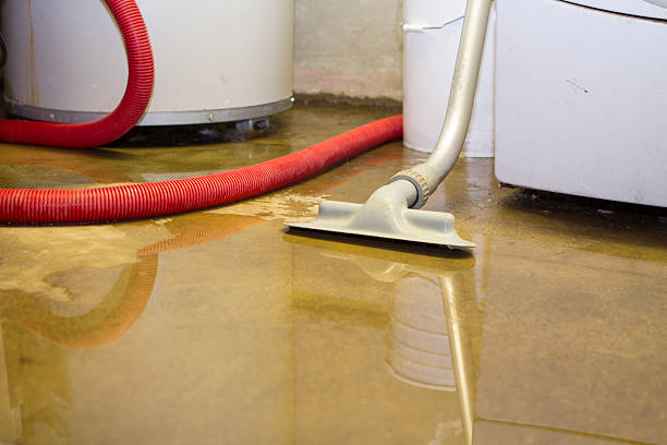 Best Residential water damage restoration  in Centrevle, IL