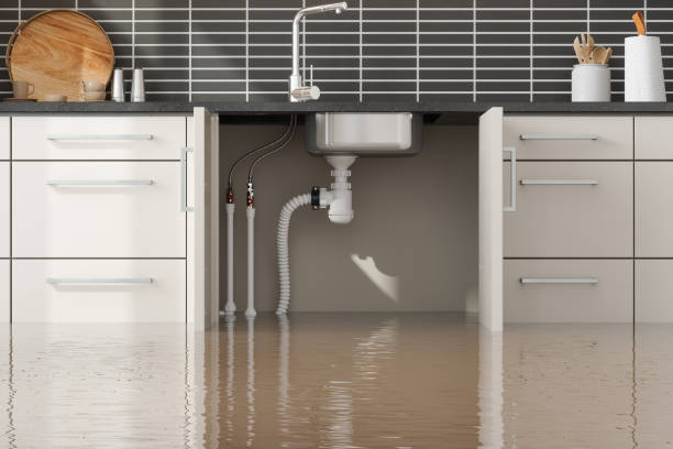 Best Professional water damage repair  in Centrevle, IL