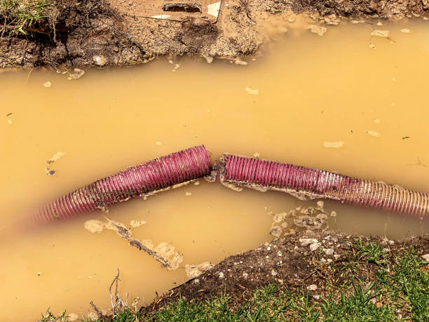 Best Basement water damage restoration  in Centrevle, IL
