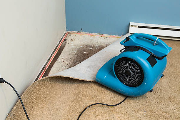 Best Commercial water damage restoration  in Centrevle, IL